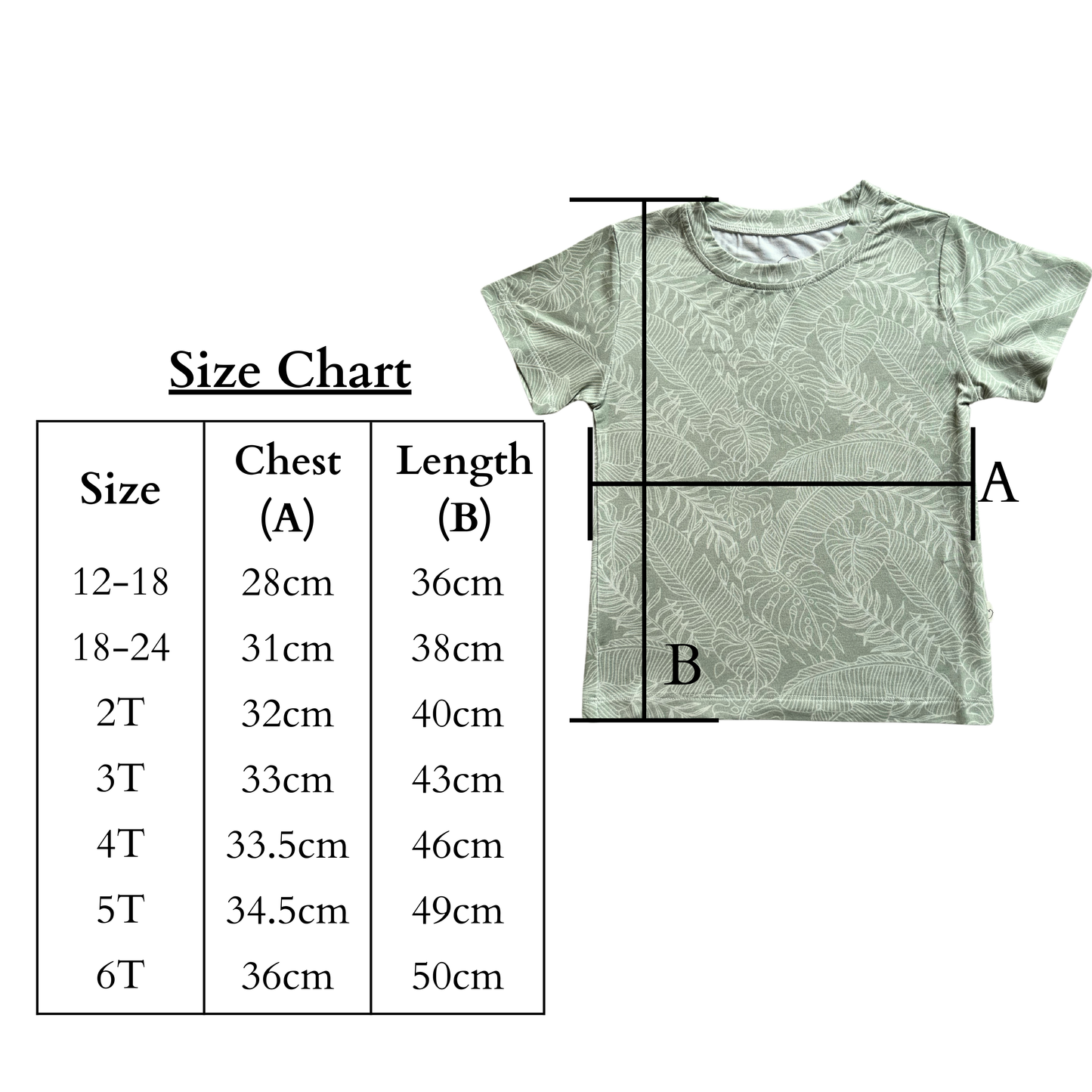 Short Sleeve T-Shirt